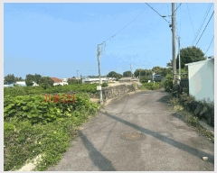  2025Ÿ��8106 ���� �������� ��ȿ�� 877       ����(������)���