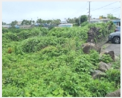  2025Ÿ��8106 ���� �������� ��ȿ�� 877       ����(������)���