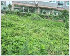  2025Ÿ��8106 ���� �������� ��ȿ�� 877       ����(������)���