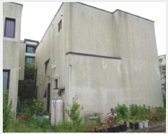  2025Ÿ��8116  ���ð��