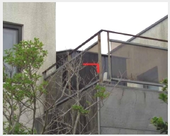  2025Ÿ��8116  ���ð��