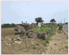  2025Ÿ��8135 ���� �������� ������ ��� 2822      ����(��1)���