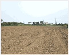  2025Ÿ��8135 ���� �������� ������ ��� 2822      ����(��1)���