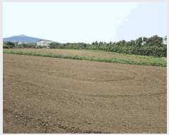  2025Ÿ��8135 ���� �������� ������ ��� 2822      ����(��1)���