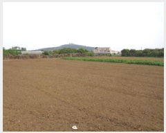  2025Ÿ��8135 ���� �������� ������ ��� 2822      ����(��1)���