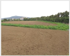  2025Ÿ��8135 ���� �������� ������ ��� 2822      ����(��1)���