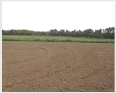  2025Ÿ��8135 ���� �������� ������ ��� 2822      ����(��1)���