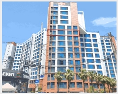  2025Ÿ��8144  ����Ʈ���