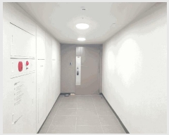  2025Ÿ��8144  ����Ʈ���