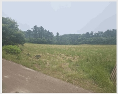  2025Ÿ��8190  �����