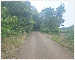  2025Ÿ��8190  �����