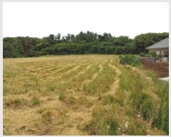  2025Ÿ��8190  �����