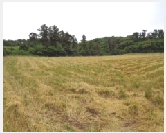  2025Ÿ��8190  �����