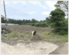  2025Ÿ��8199  �����