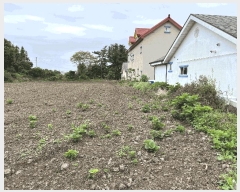  2025Ÿ��8199  �����