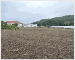  2025Ÿ��8199  �����