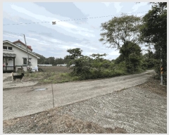  2025Ÿ��8199  �����