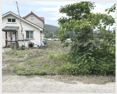  2025Ÿ��8199  �����