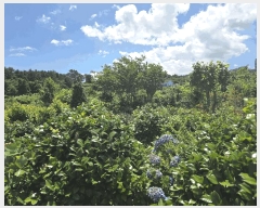  2025Ÿ��8246 ���� ���ֽ� �ֿ��� �����ϸ� 1030-2      ����(�Ӿ�)���