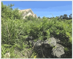  2025Ÿ��8246 ���� ���ֽ� �ֿ��� �����ϸ� 1030-2      ����(�Ӿ�)���