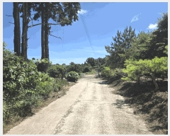  2025Ÿ��8246 ���� ���ֽ� �ֿ��� �����ϸ� 1030-2      ����(�Ӿ�)���