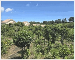  2025Ÿ��8246 ���� ���ֽ� �ֿ��� �����ϸ� 1030-2      ����(�Ӿ�)���