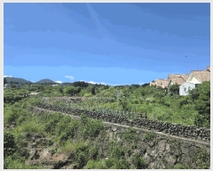  2025Ÿ��8246 ���� ���ֽ� �ֿ��� �����ϸ� 1030-2      ����(�Ӿ�)���