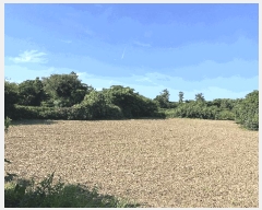  2025Ÿ��8289 ���� ���ֽ� �Ѱ�� û���� 598      ����(��1)���