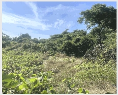  2025Ÿ��8289 ���� ���ֽ� �Ѱ�� û���� 598      ����(��1)���