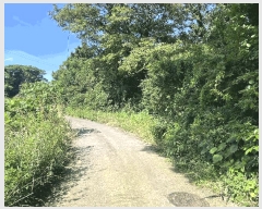  2025Ÿ��8289 ���� ���ֽ� �Ѱ�� û���� 598      ����(��1)���