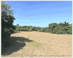  2025Ÿ��8289 ���� ���ֽ� �Ѱ�� û���� 598      ����(��1)���