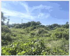  2025Ÿ��8289 ���� ���ֽ� �Ѱ�� û���� 598      ����(��1)���