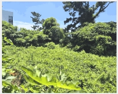  2025Ÿ��8299  ���������