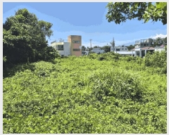  2025Ÿ��8299  ���������