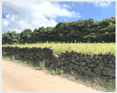  2025Ÿ��8316  ���ǽ��ڰ��