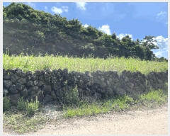  2025Ÿ��8316  ���ǽ��ڰ��