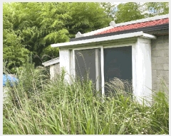  2025Ÿ��8389  ���ð��