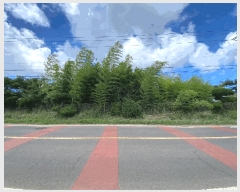  2025Ÿ��8389  ���ð��