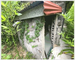  2025Ÿ��8389  ���ð��