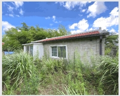  2025Ÿ��8389  ���ð��