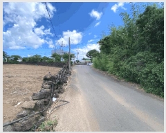  2025Ÿ��8389  ���ð��