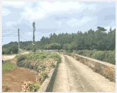  2025Ÿ��8524 ���� ���ֽ� �Ѹ��� ���ɸ� 1118      ����(��1)���