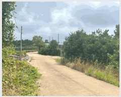  2025Ÿ��8524 ���� ���ֽ� �Ѹ��� ���ɸ� 1118      ����(��1)���
