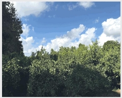  2025Ÿ��8714 ���� �������� �ȴ��� ������ 2980-1      ����,â�����