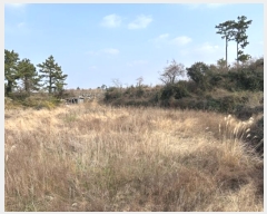  2025Ÿ��121  �Ӿ߰��