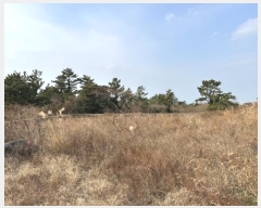  2025Ÿ��121  �Ӿ߰��