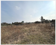  2025Ÿ��121  �Ӿ߰��