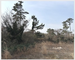  2025Ÿ��121  �Ӿ߰��