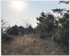  2025Ÿ��121  �Ӿ߰��