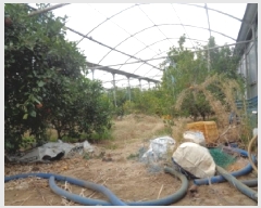  2025Ÿ��305 ���� ���ֽ� �Ѱ�� ���긮 2512-1      ����(��1)���